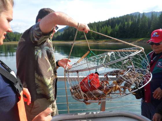 Tony pulling the Crab Pot   Ketchikan