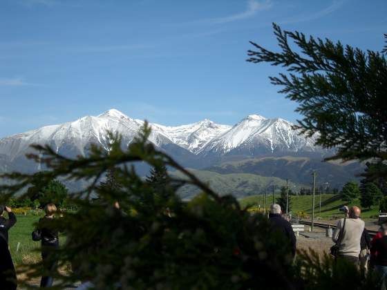 Southern Alps View