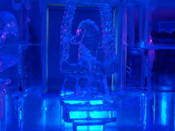 5 Degrees   Ice Bar