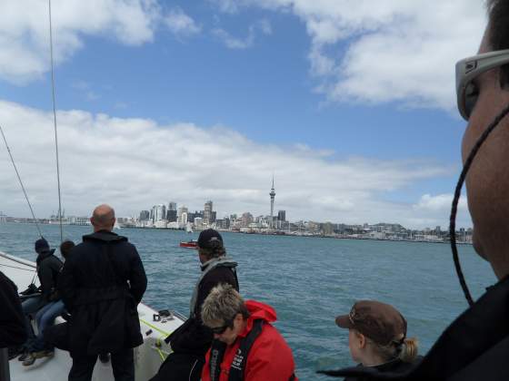 Auckland Skyline