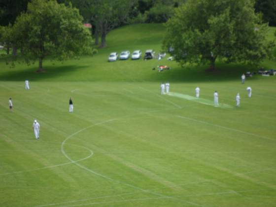 Cricket Game