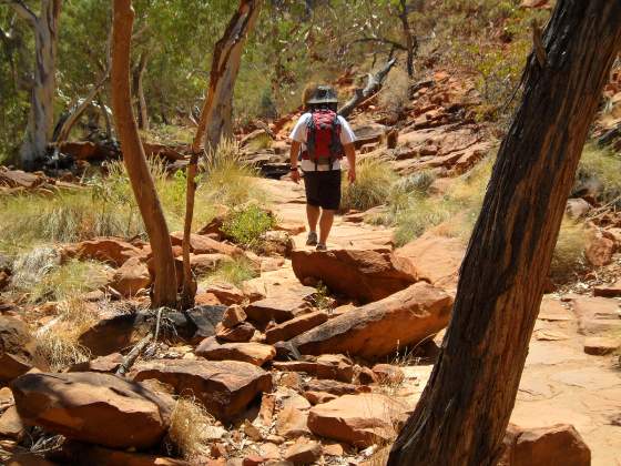 Hiking along Kings Creek