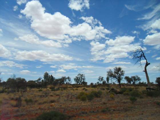 Along route from Kings Canyon to Ayres Rock