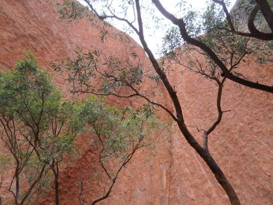 Ayres Rock looking straight up