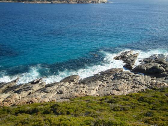 View from the top of Observation Point