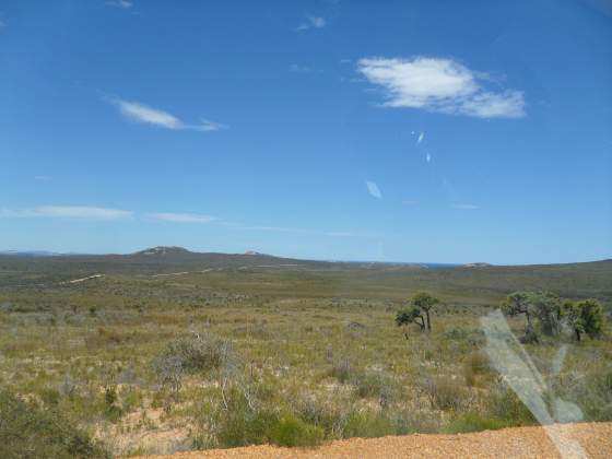 View along road in national park