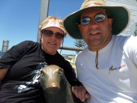 Sammy the Seal on Esperance Pier