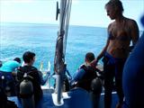 Our Master Diver/Marine Biologist   Jess