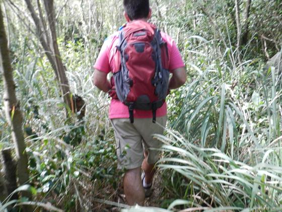 Beginning the trek to the Moaula Falls