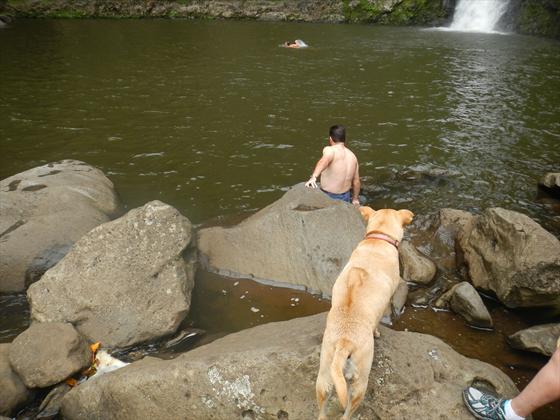 Noni watching Tony 'ease in' to the cold falls pool