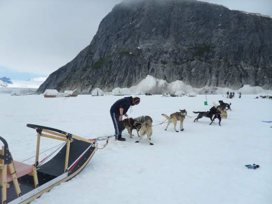 Handler checking the gear