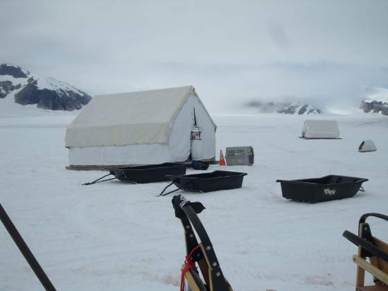 Staff Tent