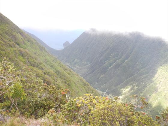 Waikolu Valley from the lookout