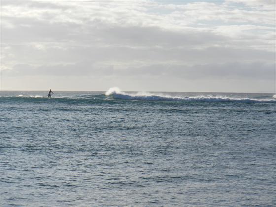 Stand Up Paddler