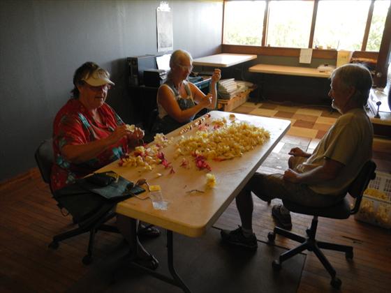 Stringing our leis