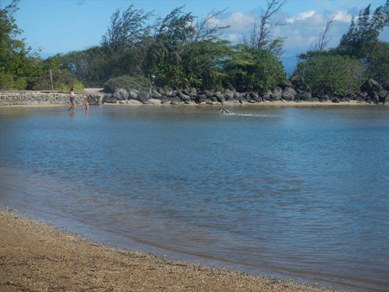 Warm little wading lagoon