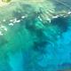 View of Shore along Island of Oahu