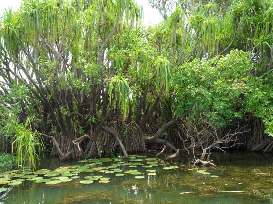 View along Yellow River