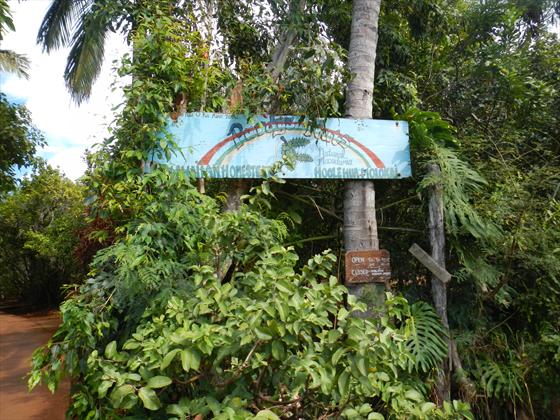 Purdy's Macadamia Nut Farm