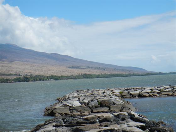 Harbor view