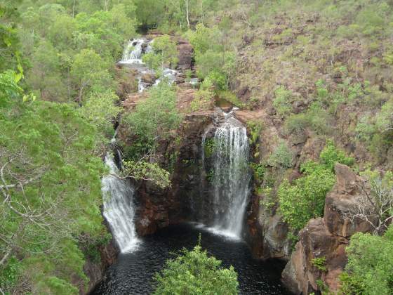 Florence Falls view from the top