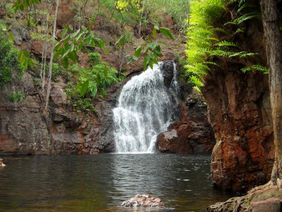 Small falls from the shore