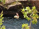 one of Buley Rockhole Swimming holes