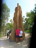 150 yr old Termite Mound