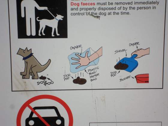 Posted Poop Scoop Instructions