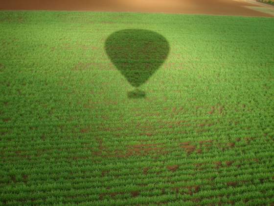 Our shadow over the cornfields
