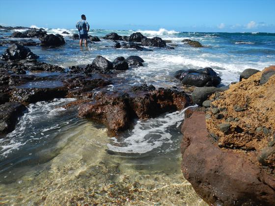 Tony ventured out on the rocks