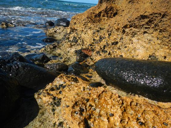 Tide pool