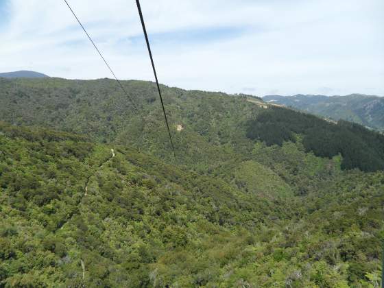 View after departure