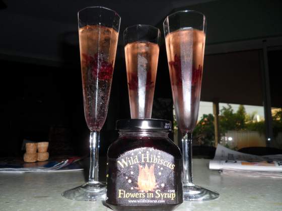 Hibiscus Flowers in Champagne