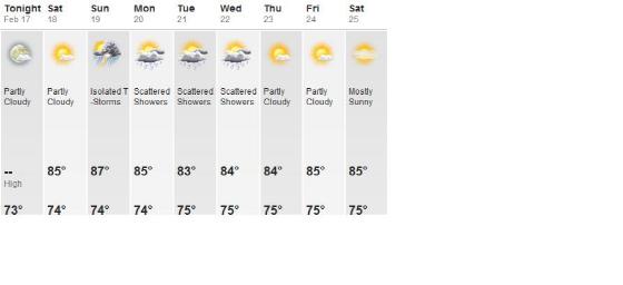 Weather Forecast for the week