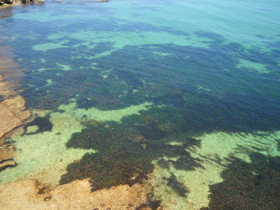 Cyrstal Clear Water