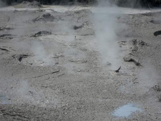 Bubbling Mud