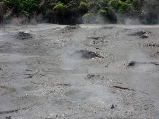 Bubbling Mud Pools