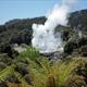 Rotorura Geothermal Geyser