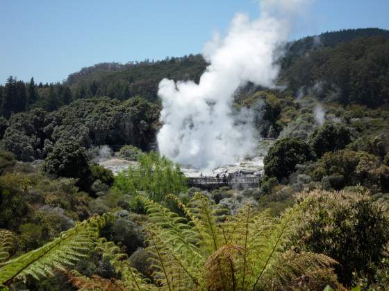 Rotorura Geothermal Geyser