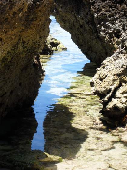 Coral rocks are beautiful but sharp