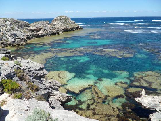 Rottsnest Island Snorkeling Cove