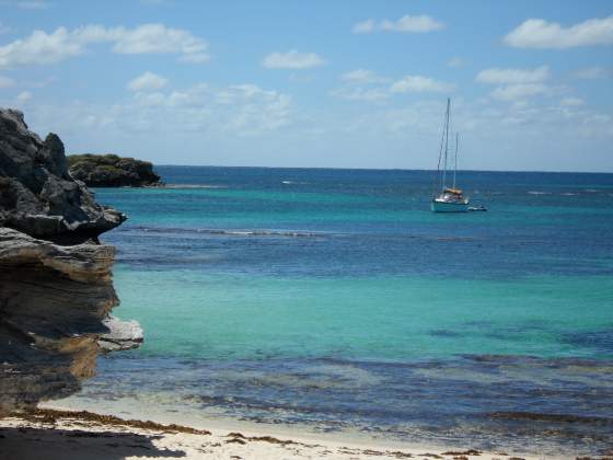 Cove along the bus route