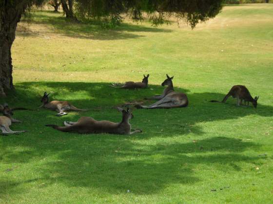 17th Tee Box Audience