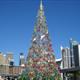 Christmas in Darling Harbor