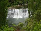 Falls along road to Waitomo