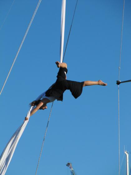 Viaduct Harbour