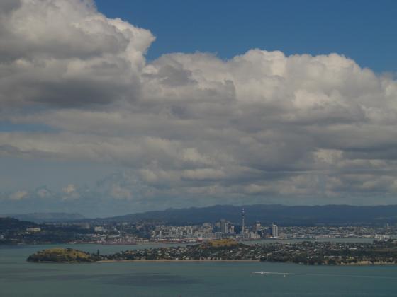 Rangitoto Island