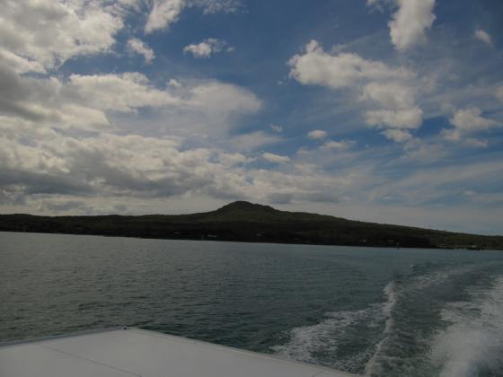 Rangitoto Island