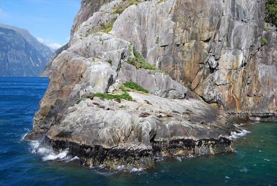 Milford Sound